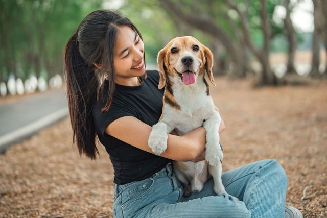 Happy woman playing with dog together in public park outdoors, Friendship between human and their pet